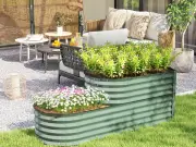 Gardeners 'delighted' with £42 raised bed cheaper than Amazon