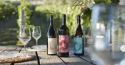 Gardeners told to put wine bottles in soil for August watering