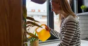 Gardeners Urged to Avoid Midday Watering This Week