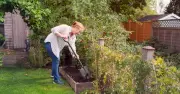 Gardeners Urged to Build Hedgehog Highways During Heatwave