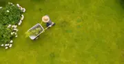 Gardeners urged to follow '4 step method' for lush green lawn