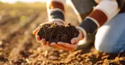 Gardeners urged to keep leftover compost in August