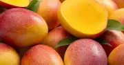 Gardeners urged to use mangoes as natural wasp deterrent