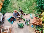 Gardeners' World expert names three top August jobs for thriving garden