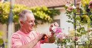 Gardeners' World expert: Plant cabbages this August for spring crop