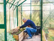 Gardeners' World expert urges planting cabbages this August