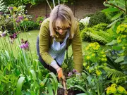 Gardening expert shares two key changes to protect gardens from heatwave