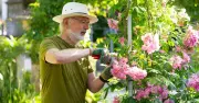 Gardening expert warns against mowing lawn and pruning shrubs