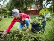 Gardening expert's natural weed removal method beats vinegar