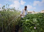 Gaza farmers struggle to survive amid constant threats and severe shortages