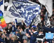 Geelong scraps secret concussion waiver deal with player