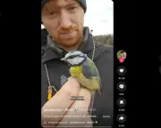 Gen Z Flocks to BirdTok as Birding Takes Flight