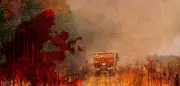 Gironde fire: centuries of land use and climate change fuel France's worst blaze