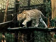 Glasgow Zoo site transformed into housing after 2003 closure