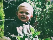 GMP lawyers told to 'urgently review' 67-page safeguarding report into death of toddler killed by dog