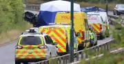 Government tells TikTok to remove wrong-way driving trend content