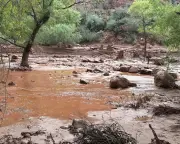 Grand Canyon braces for more storms after flash flood kills one