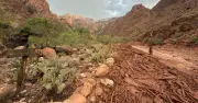 Grand Canyon flash flood: 15 hikers missing after torrents