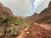 Grand Canyon flash floods leave one dead, several missing