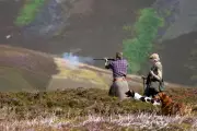 Grouse shooting 'major contributor' to rural economy, estates body says
