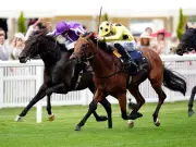 Gstaad ruled out of Deauville clash with Bow Echo after infection