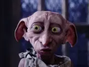 Harry Potter fans force £430m cable to avoid Dobby's grave