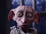 Harry Potter Fans Force Undersea Cable Reroute to Spare Dobby's Grave