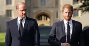 Harry's 8 Most Explosive Attacks on William: Can He Forgive?