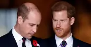 Harry's friend issues 8-word update on fixing William rift