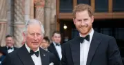 Harry's UK Return: Security Told Before King Charles