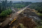 Hawaii Power Outages Widespread as Storm Lala Causes Damage