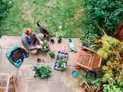Head Gardener's Two-Minute Task to Protect Bees in Heatwave