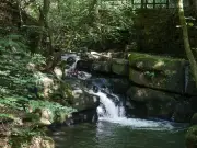 Healey Dell in Rochdale named one of North's top 10 hidden gems