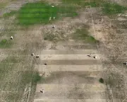 Heatwaves Leave Cricket Groundstaff Struggling for Playable Pitches