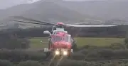 Helicopter deployed after child seriously injured in incident with family pet