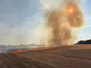 Helium balloon sparks field fire and power cut in Nottinghamshire