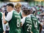 Hibs transfer talk won't distract stars, insists David Gray