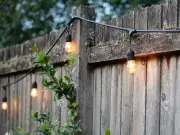 Hidden garden lights rule could cost you this summer