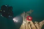 HMS Tiger wreck found 118 years after sinking