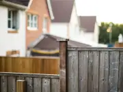 Homeowner baffled by neighbour's demand for privacy hedges without paying
