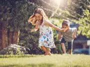 Homeowner's berry bush revenge on trespassing kids divides opinion