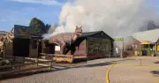 Hoo Zoo fire: Animals killed, owner devastated