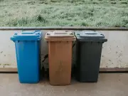 Households face £80 fines for breaking four bin rules