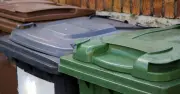 Households warned of fines if they break 4 bin collection rules