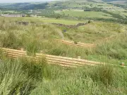 How 137 leaky dams on Holcombe Hill will slow the flow of water