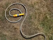 How to legally water your garden during a hosepipe ban in the UK