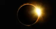 How to make a pinhole projector to safely view solar eclipse in 6 steps