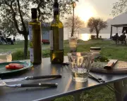 How to Use Leftover Party Wine: Expert Tips