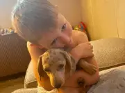 Howdon boy, 6, spreads kindness after puppy's sudden death