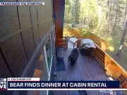 Hungry bear breaks into home, eats woman's KFC while she slept